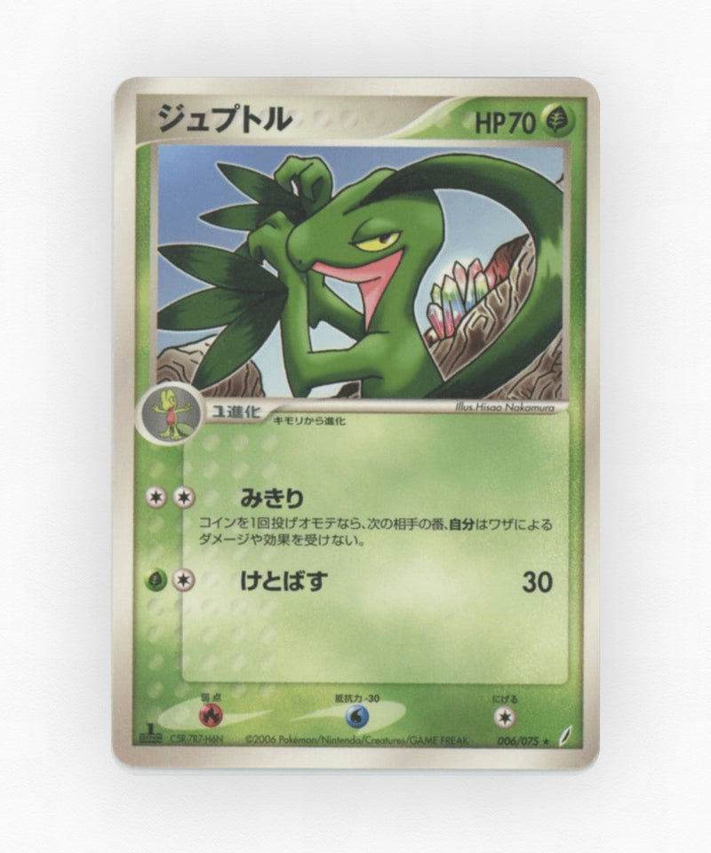 Grovyle - Miracle Crystal 006/075 (Unlimited Non-Holo)