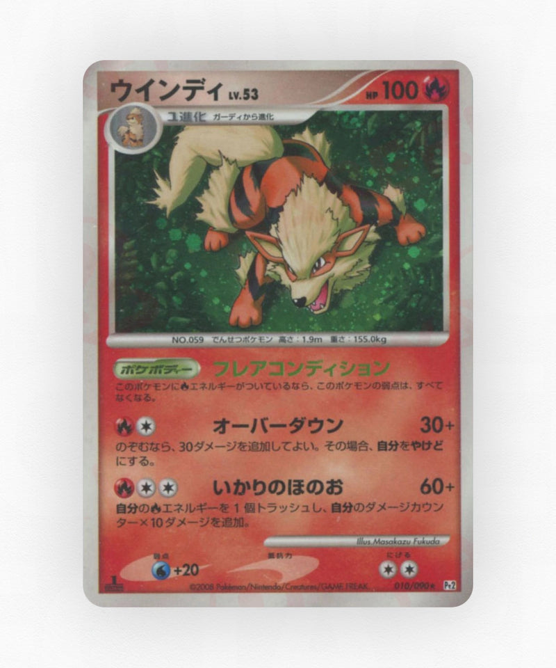 pk-pt2_ja-10-1e-holo