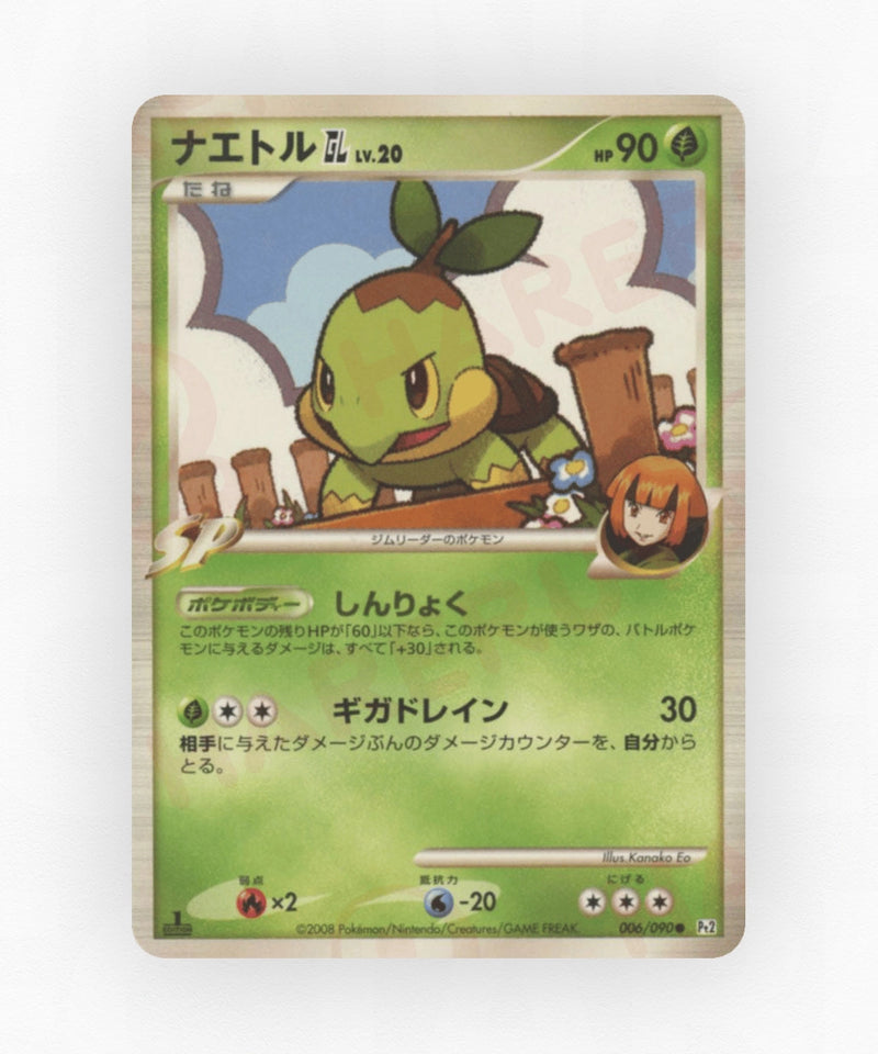 pk-pt2_ja-6-1e-non-holo