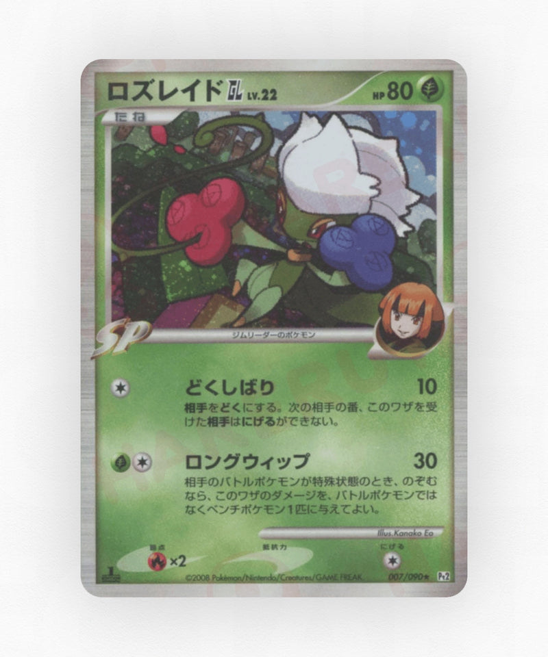 pk-pt2_ja-7-1e-holo