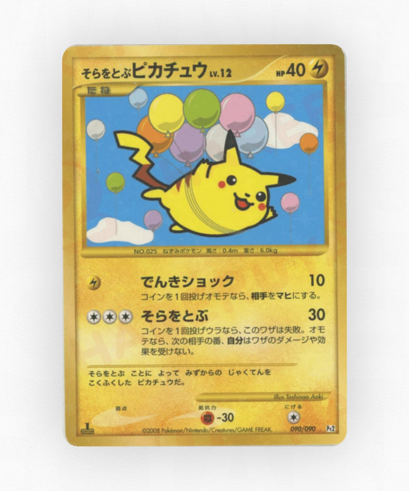 pk-pt2_ja-90-1e-holo