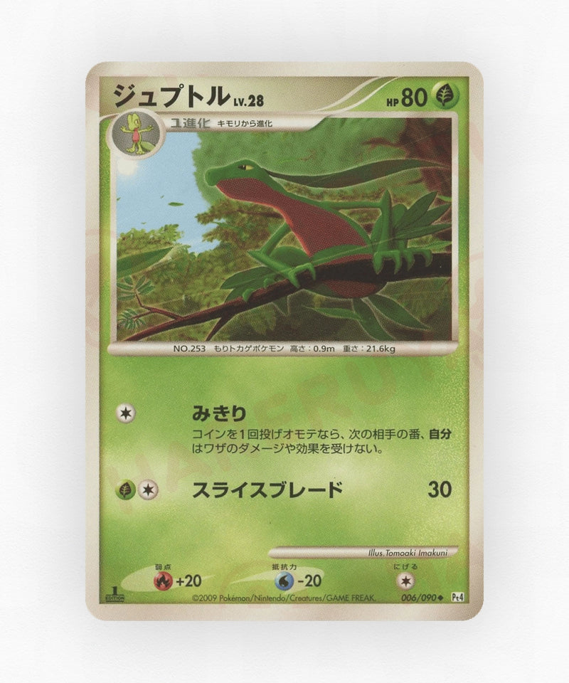 pk-pt4_ja-6-1e-non-holo