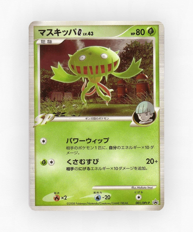 pk-ptp_ja-1-non-holo