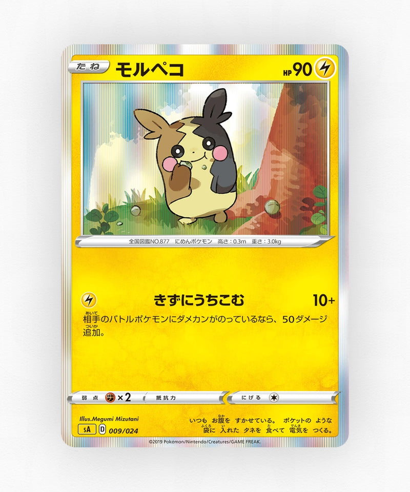 pk-sal_ja-9-holo