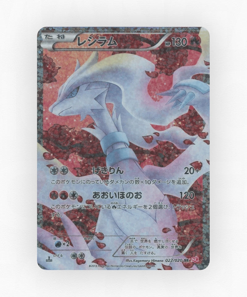 pk-sc1_ja-22-1e-holo