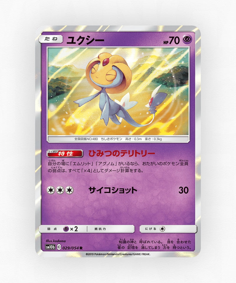 pk-sm10b_ja-29-holo