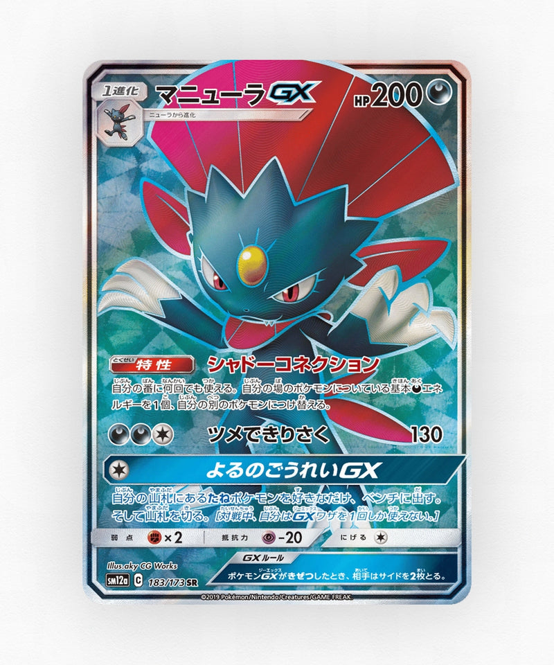 pk-sm12a_ja-183-holo