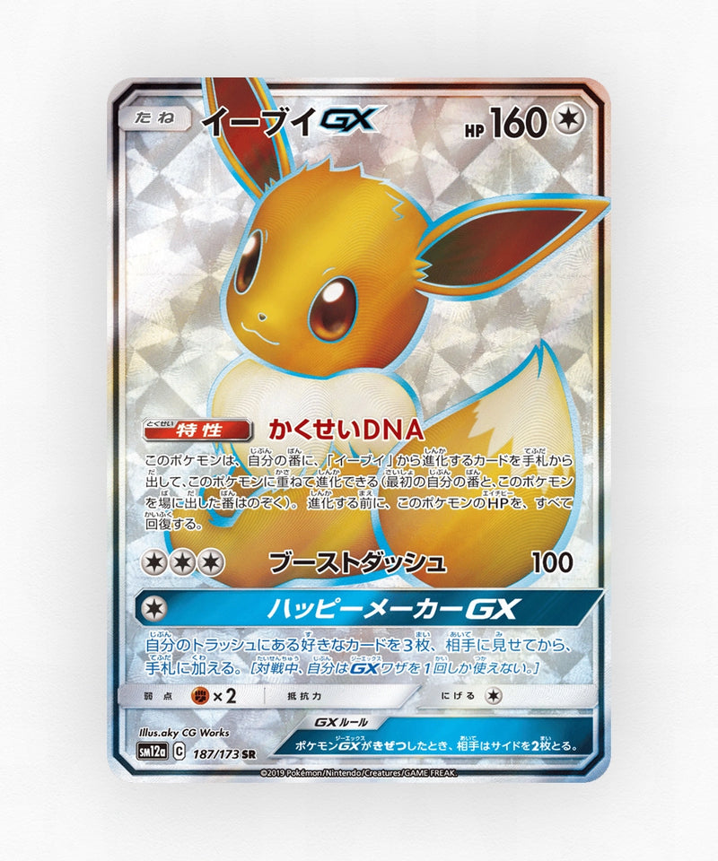 pk-sm12a_ja-187-holo