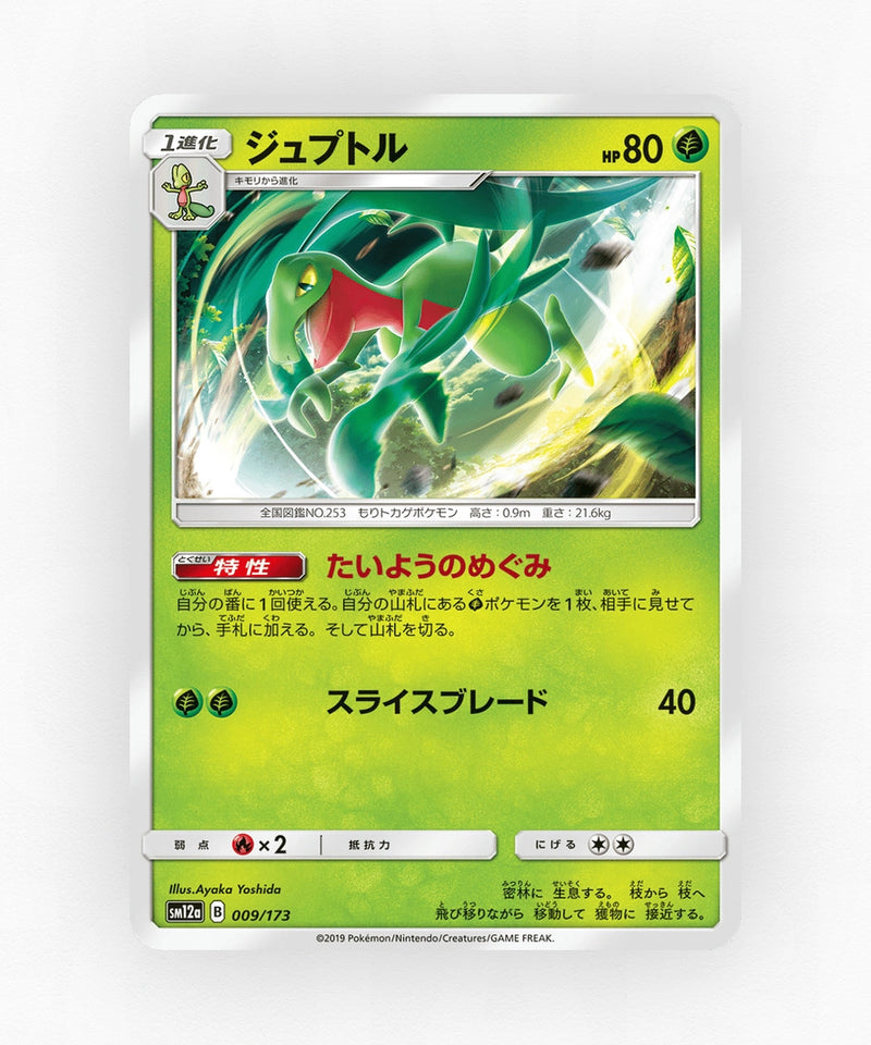Grovyle - TAG TEAM GX: Tag All Stars 009/173 (Non-Holo)