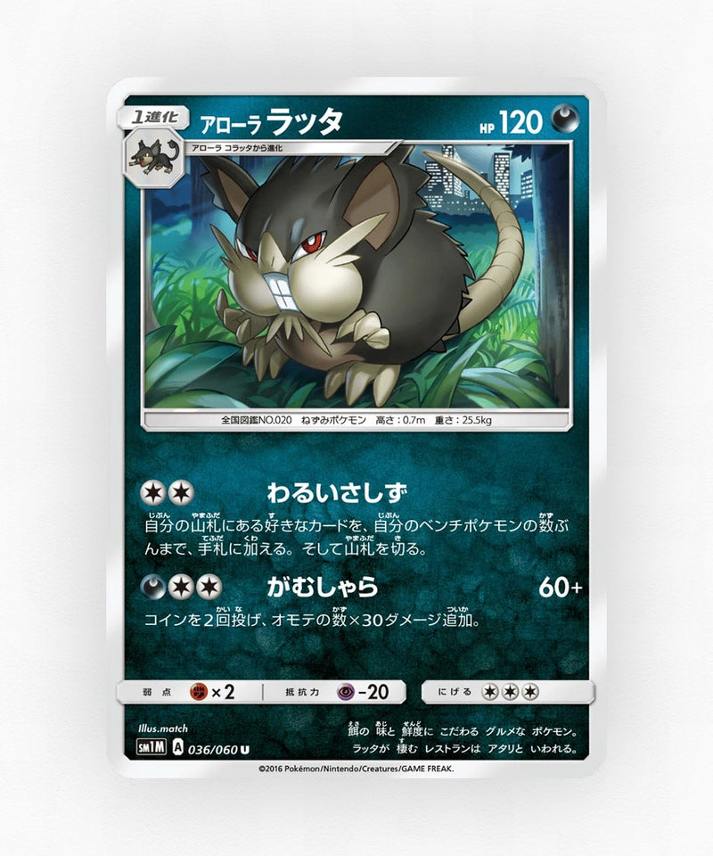 Alolan Raticate - Collection Moon 036/060 (Non-Holo)