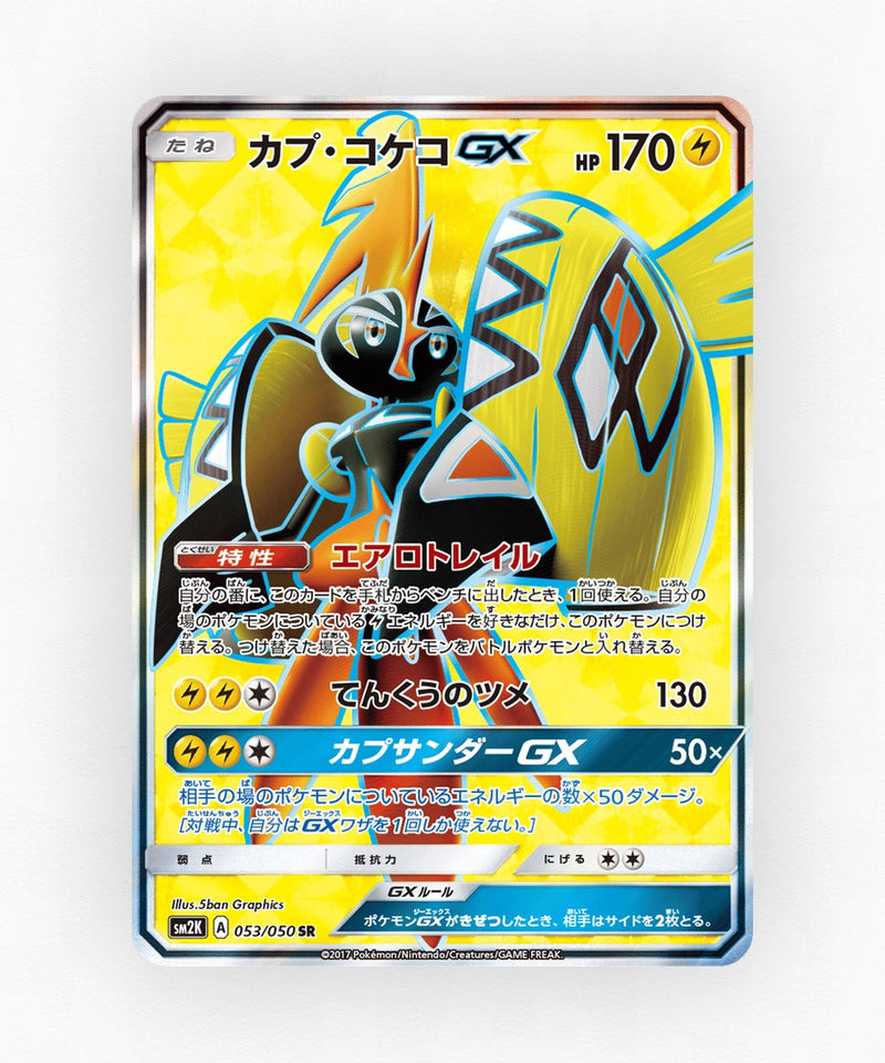 pk-sm2k_ja-53-holo