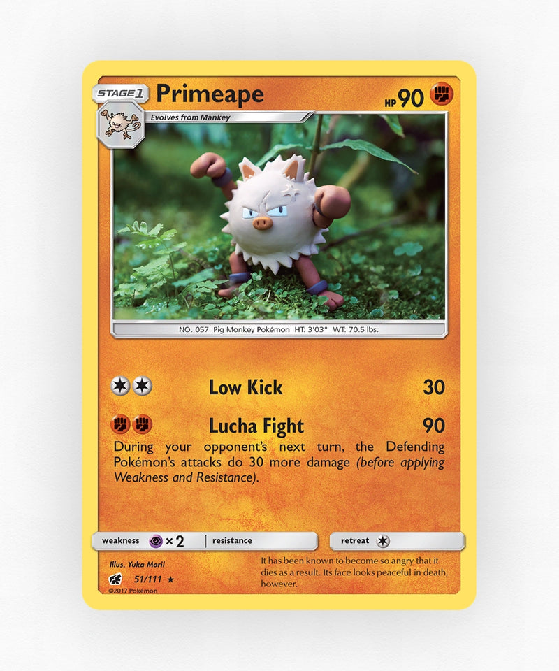 pk-sm4-51-reverse-holo