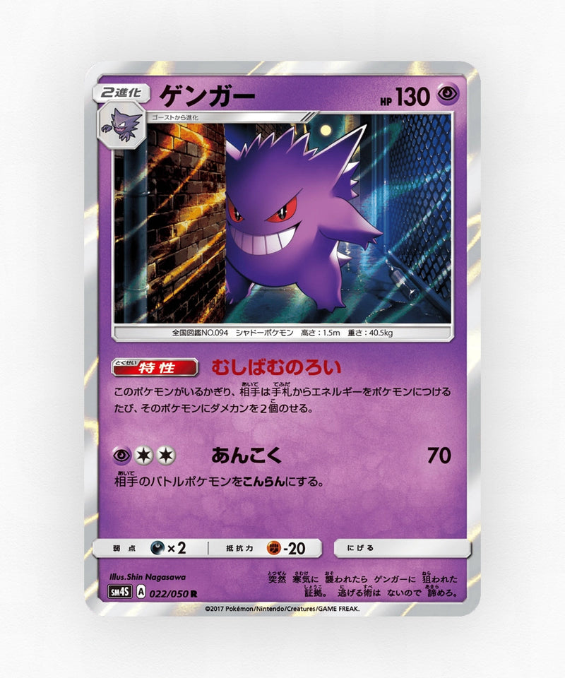 pk-sm4s_ja-22-holo