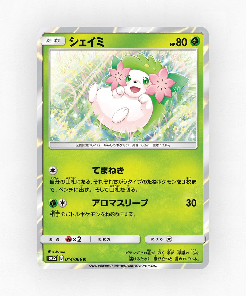 pk-sm5s_ja-14-holo
