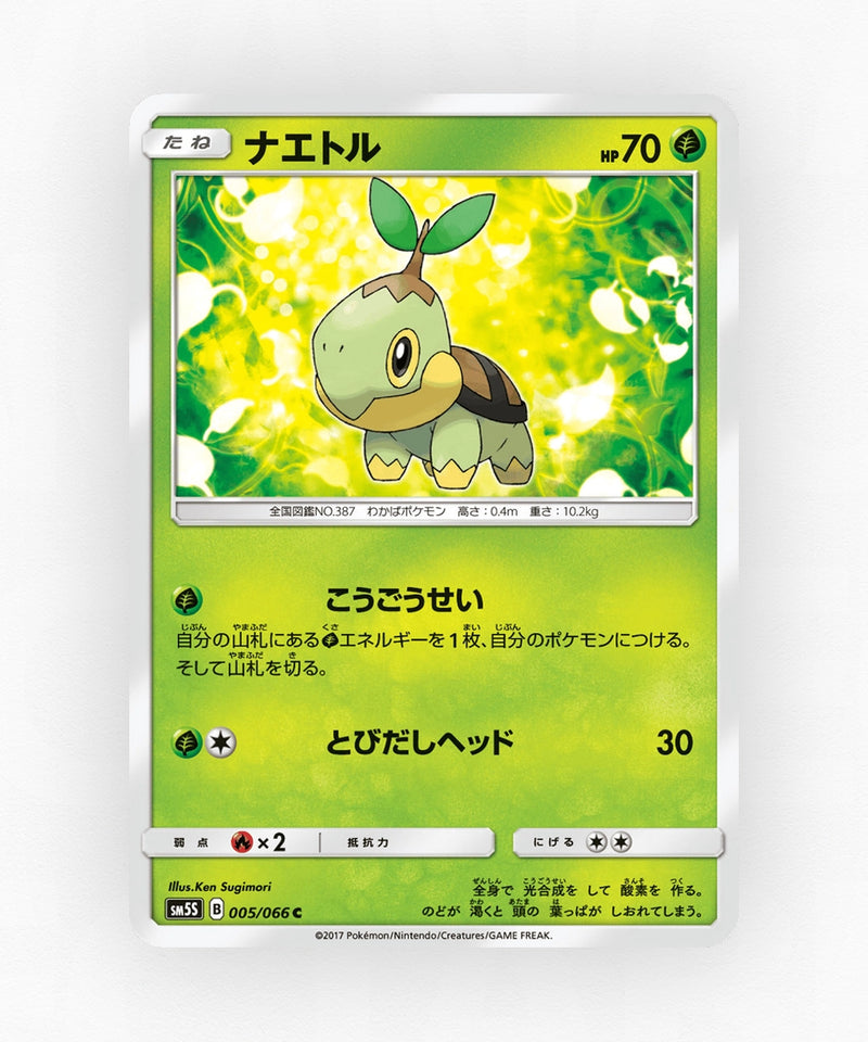 Turtwig - Ultra Sun 005/066 (Non-Holo)