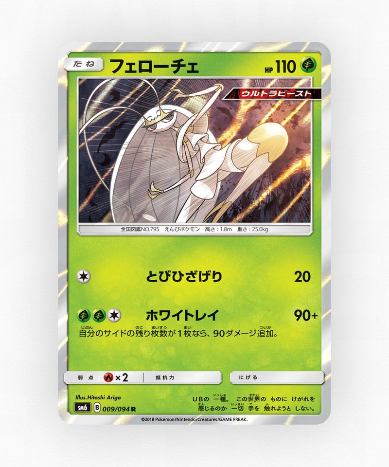 pk-sm6_ja-9-holo