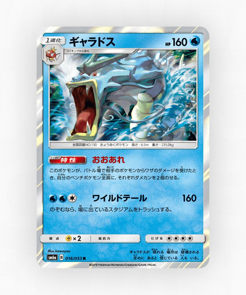 pk-sm6a_ja-16-holo