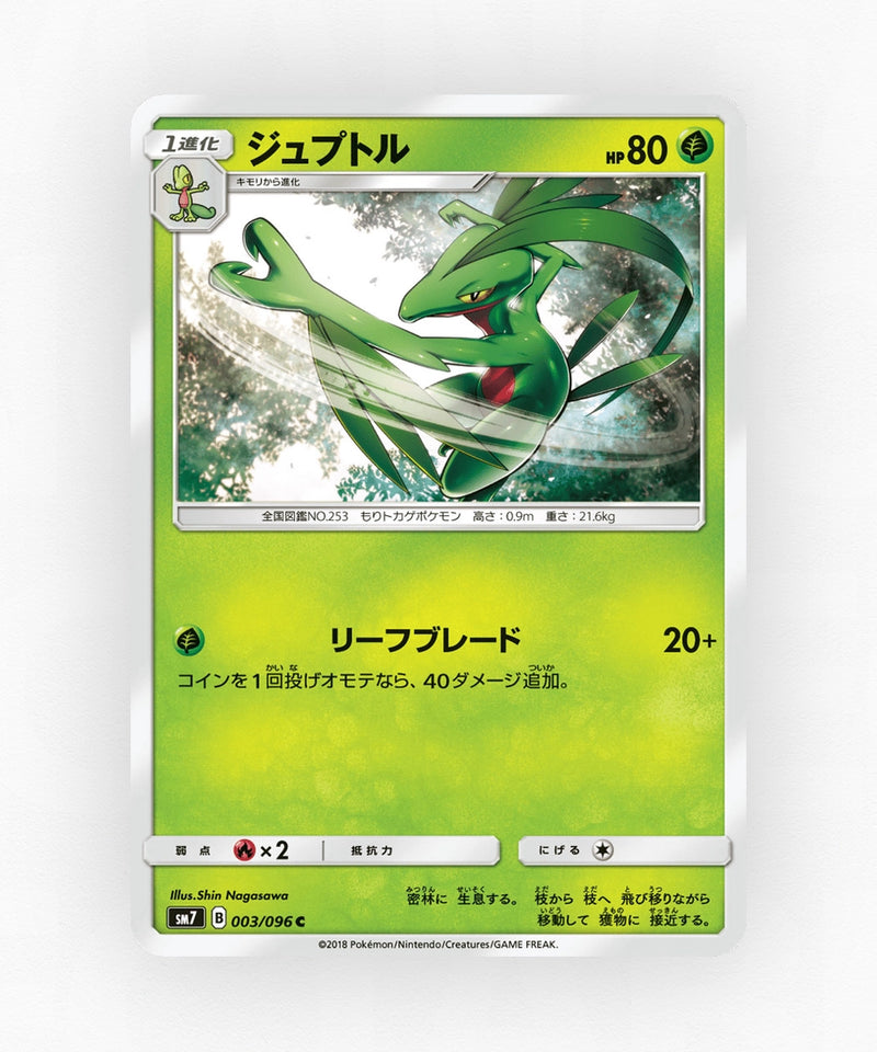 Grovyle - Sky-Splitting Charisma 003/096 (Non-Holo)