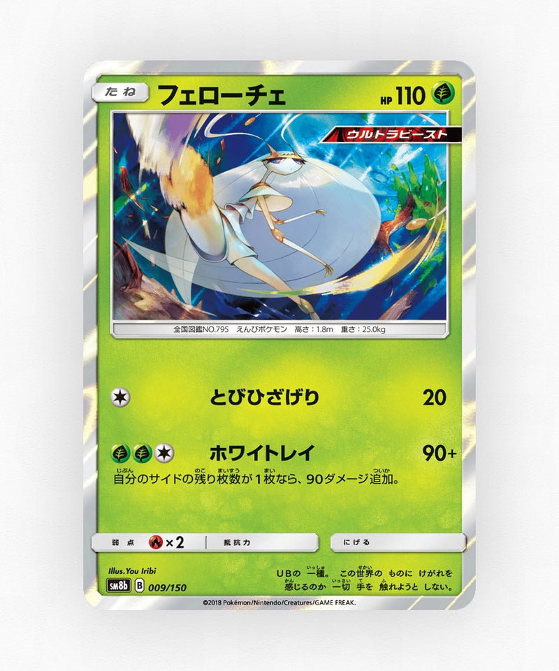 pk-sm8b_ja-9-holo