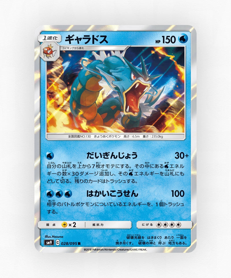 pk-sm9_ja-28-holo