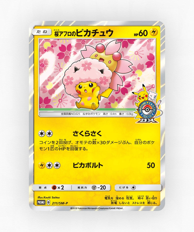 pk-smp_ja-211-holo