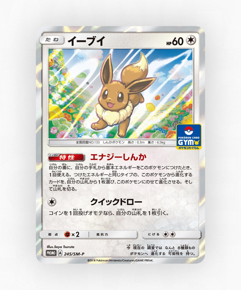 pk-smp_ja-245-holo