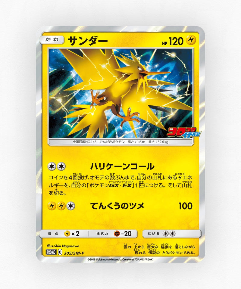 pk-smp_ja-305-holo