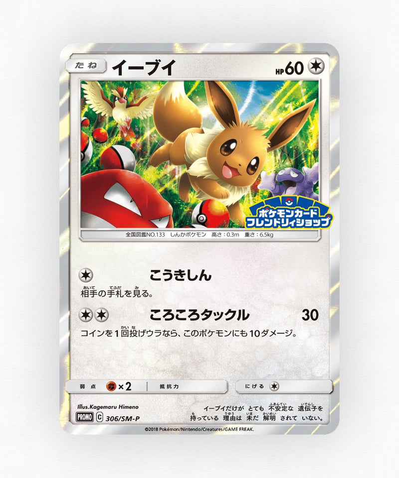 pk-smp_ja-306-holo