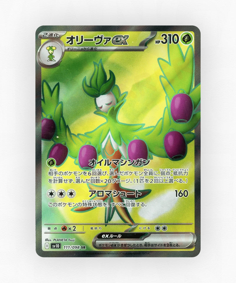 Arboliva ex - Glory of Team Rocket 111/098 (Holo)