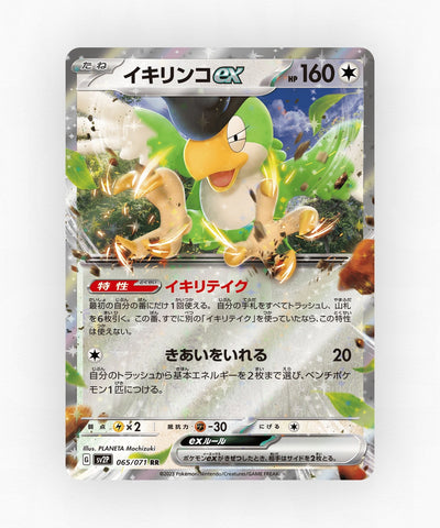 Squawkabilly ex - Snow Hazard 065/071 (Holo)