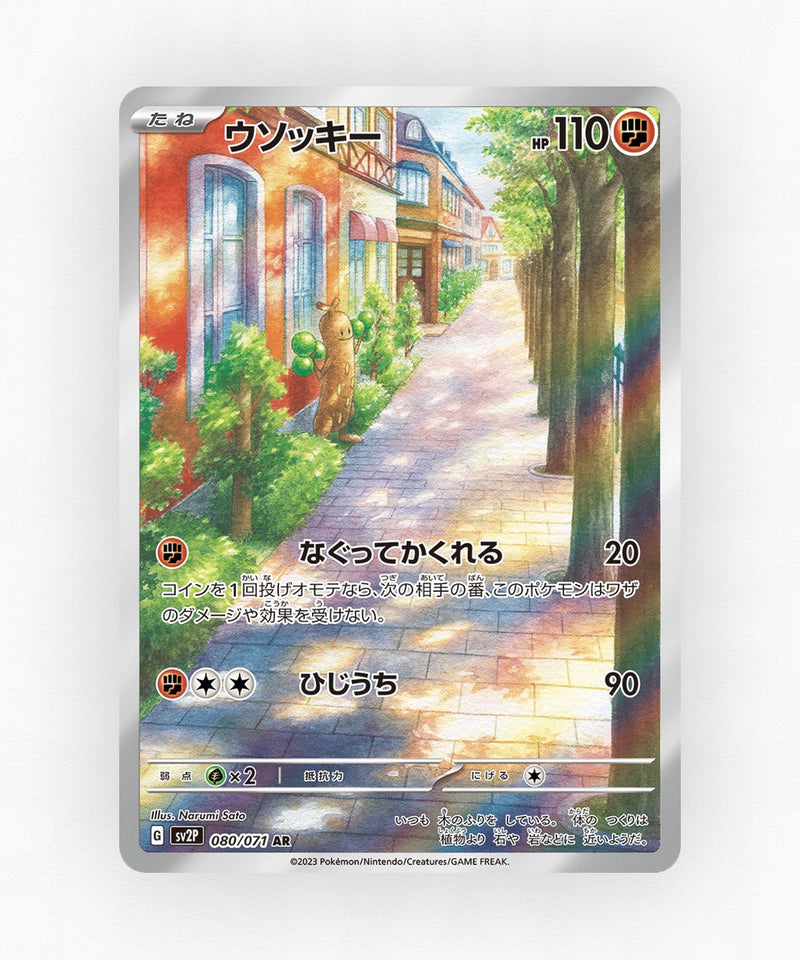 pk-sv2p_ja-80-holo