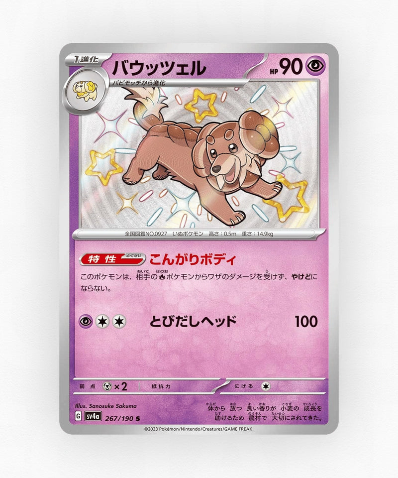Dachsbun - Shiny Treasure ex 267/190 (Holo)