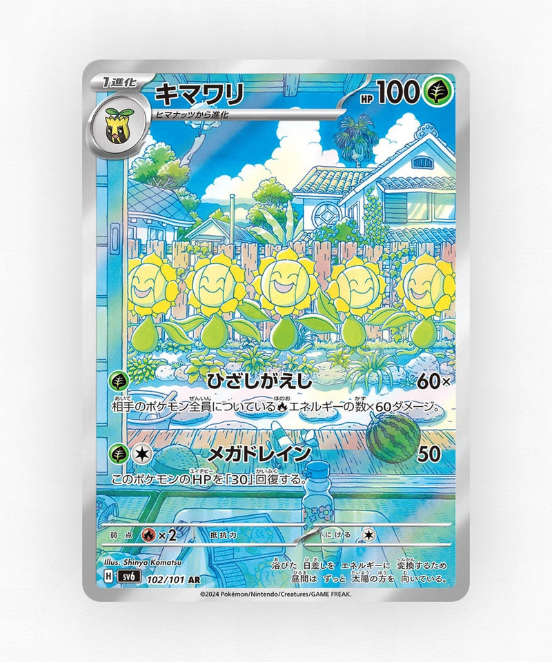 pk-sv6_ja-102-holo