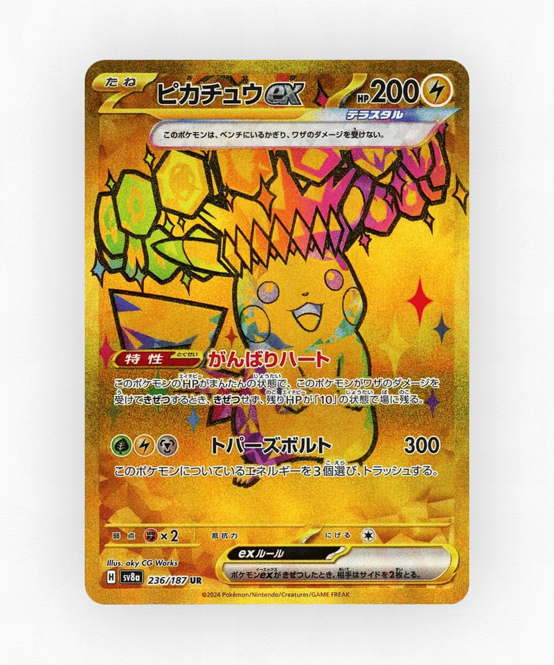 pk-sv8a_ja-236-holo
