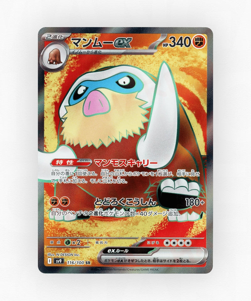Mamoswine ex - Battle Partners 116/100 (Holo)