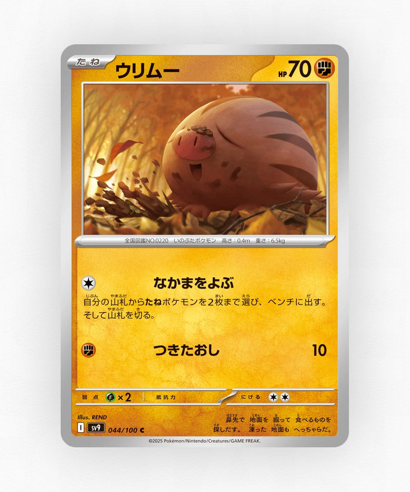 Swinub - Battle Partners 044/100 (Non-Holo)