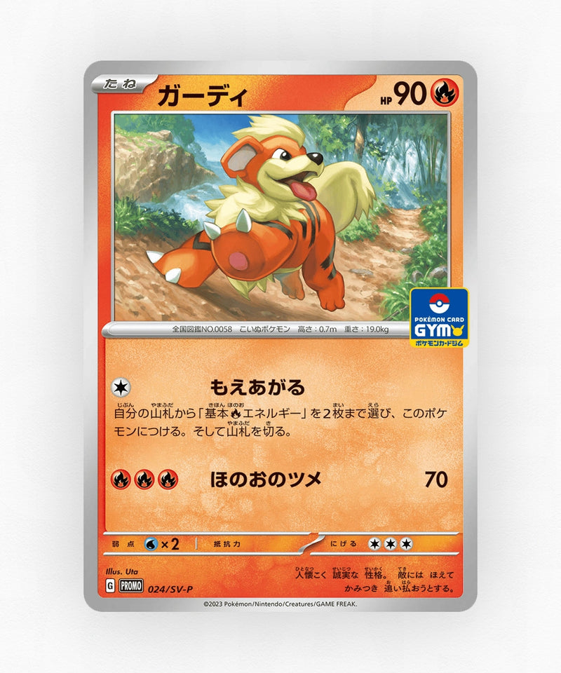pk-svp_ja-24-non-holo