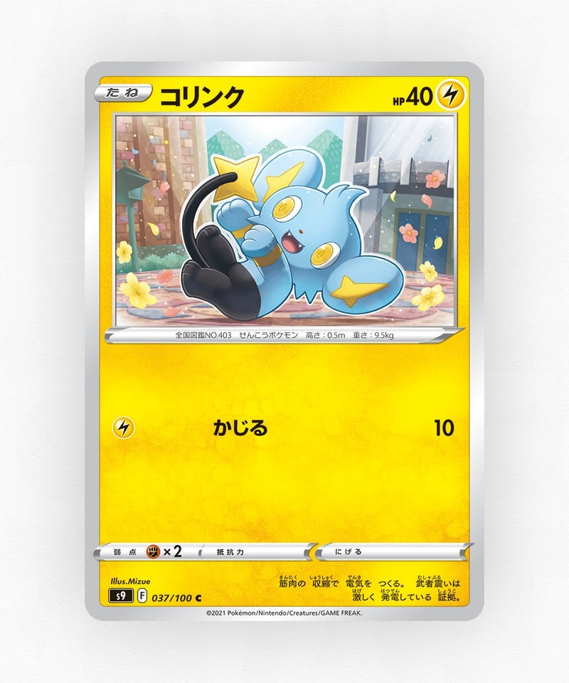 Shinx - Star Birth 037/100 (Non-Holo)