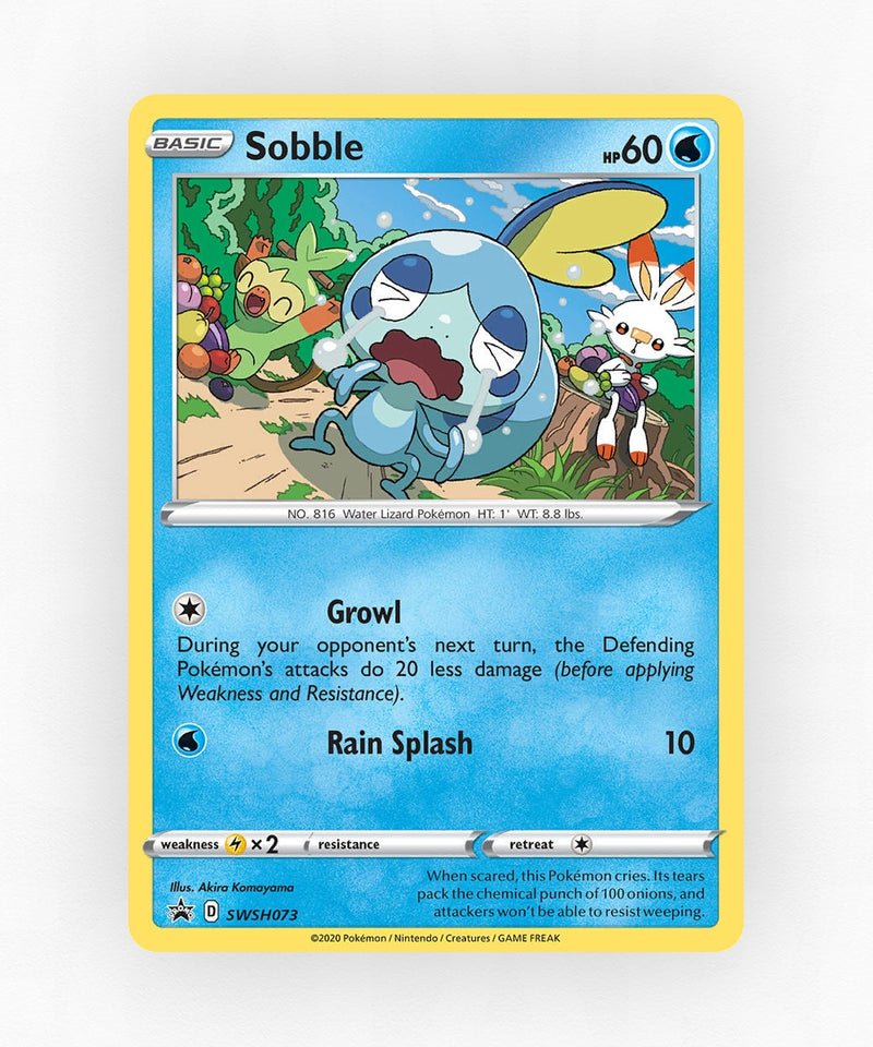 pk-swshp-swsh073-holo