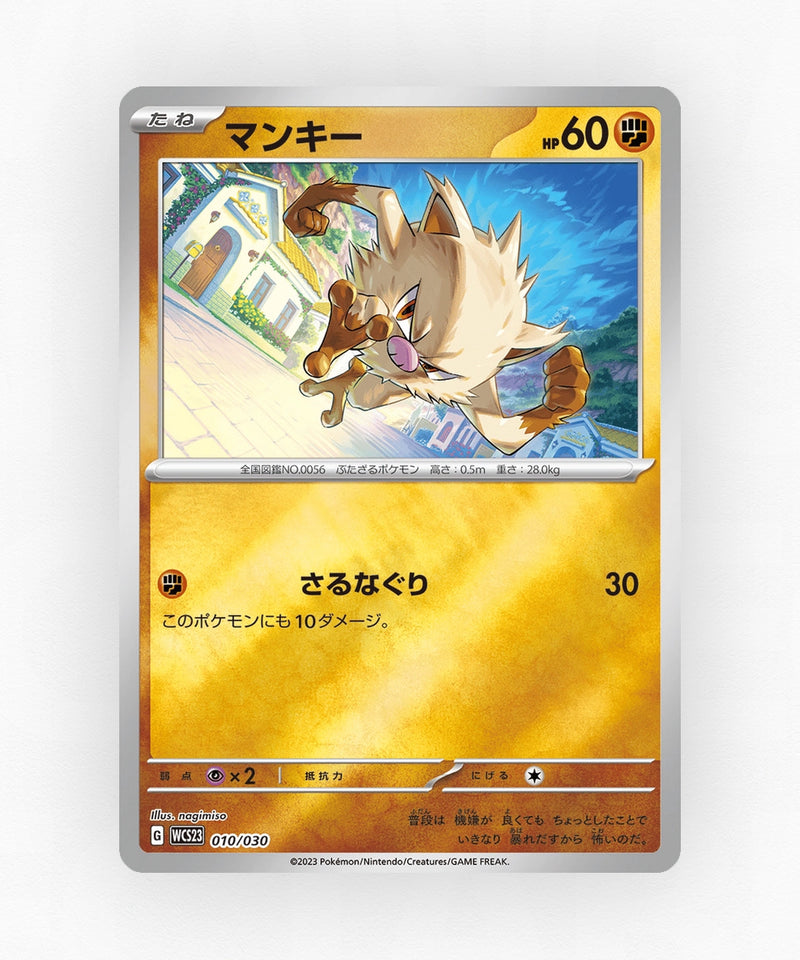 pk-wcs23_ja-10-holo