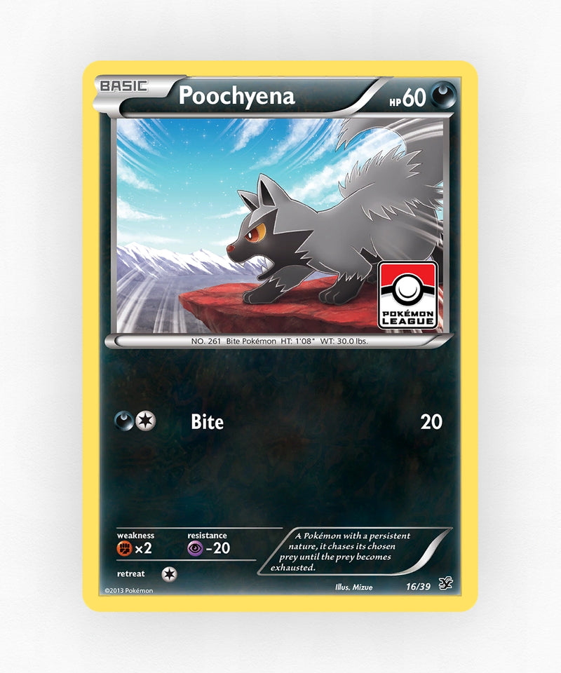 pk-xy0-16-non-holo