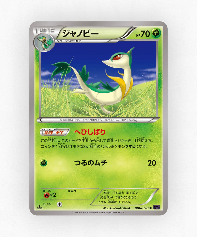 pk-xy10_ja-6-1e-non-holo