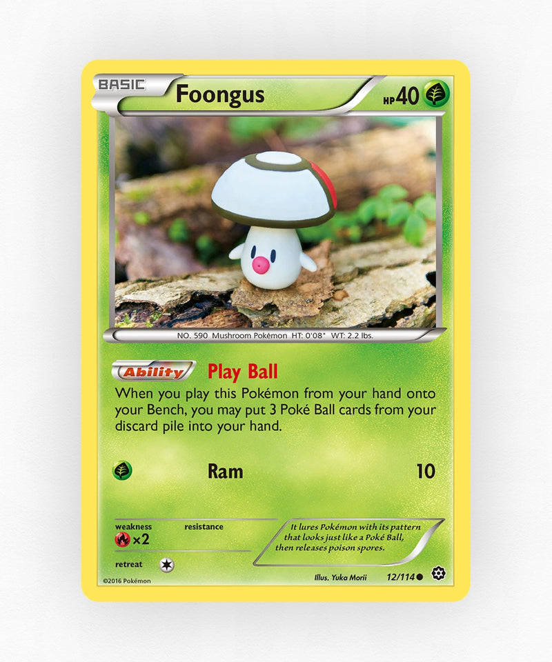 pk-xy11-12-reverse-holo