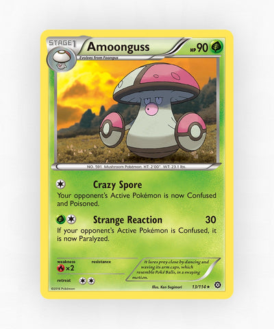 pk-xy11-13-reverse-holo