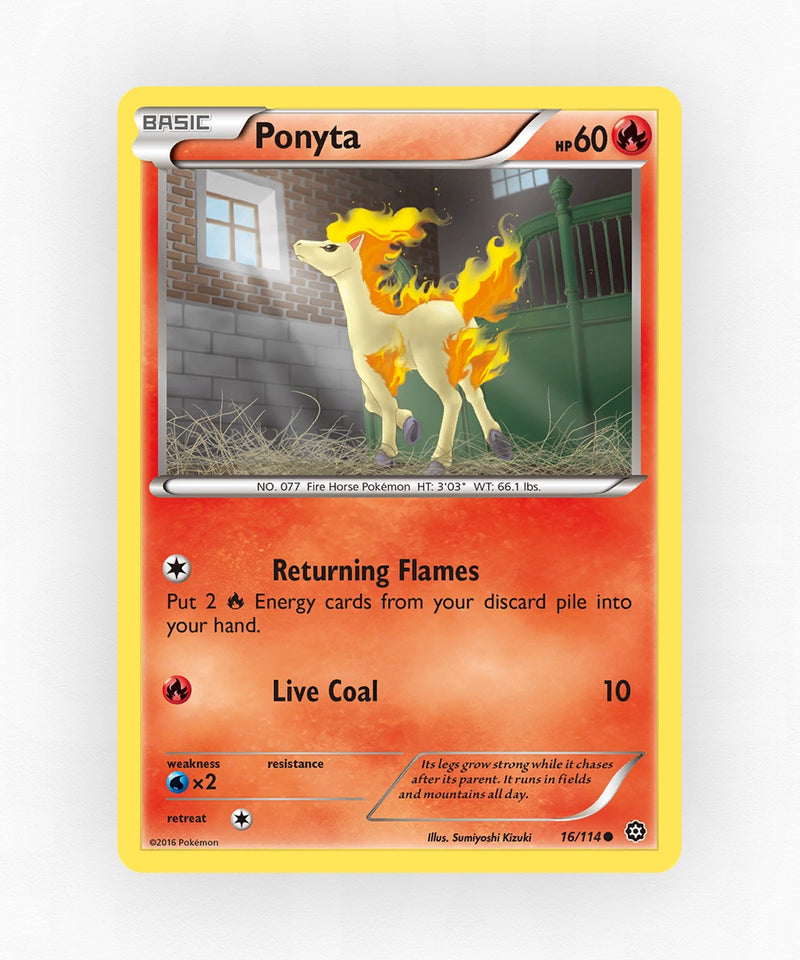 pk-xy11-16-non-holo