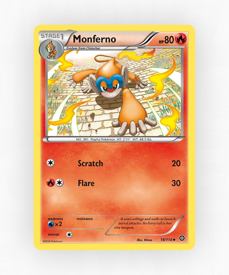 pk-xy11-19-reverse-holo