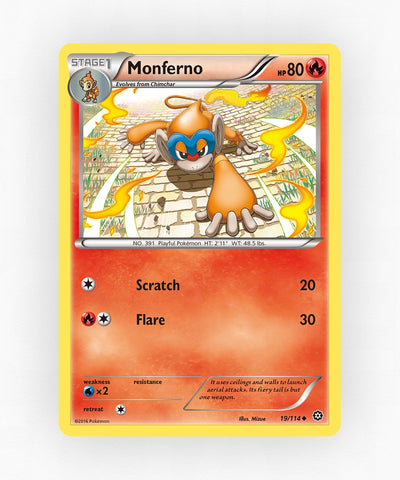 pk-xy11-19-non-holo