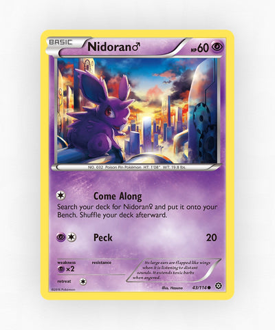 pk-xy11-43-non-holo