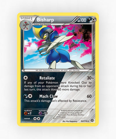 pk-xy11-64-holo