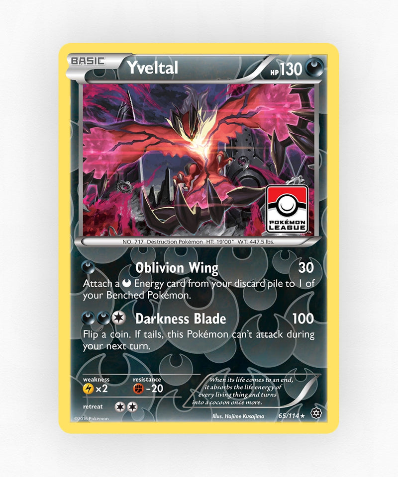 pk-xy11-65-holo